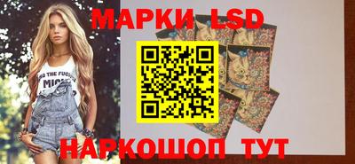 шишки Обнинск