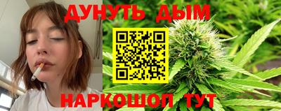 шишки Обнинск