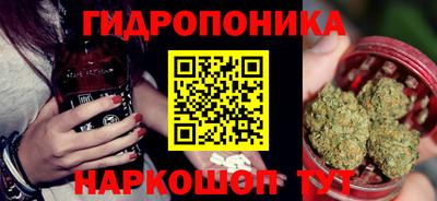 шишки Обнинск