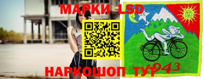 крисы Обь