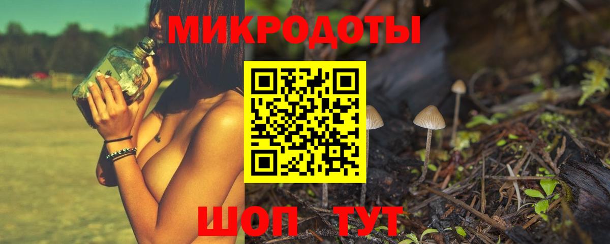 Псилоцибиновые грибы Psilocybine cubensis Ступино